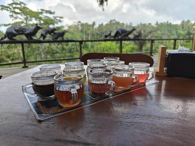 best coffee plantation ubud