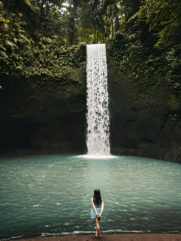 ubud tour