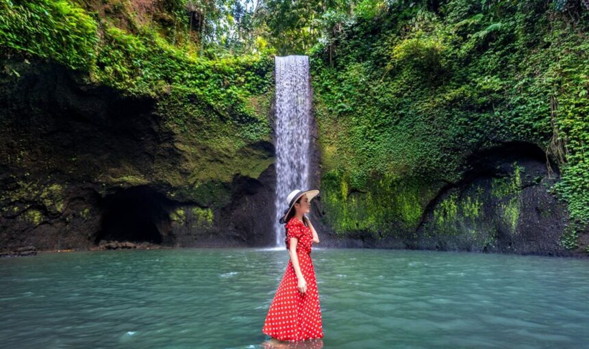 Ubud Tour: Waterfalls, Temple, Tegallalang Rice Terrace Private Tour