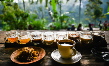 coffee plantation