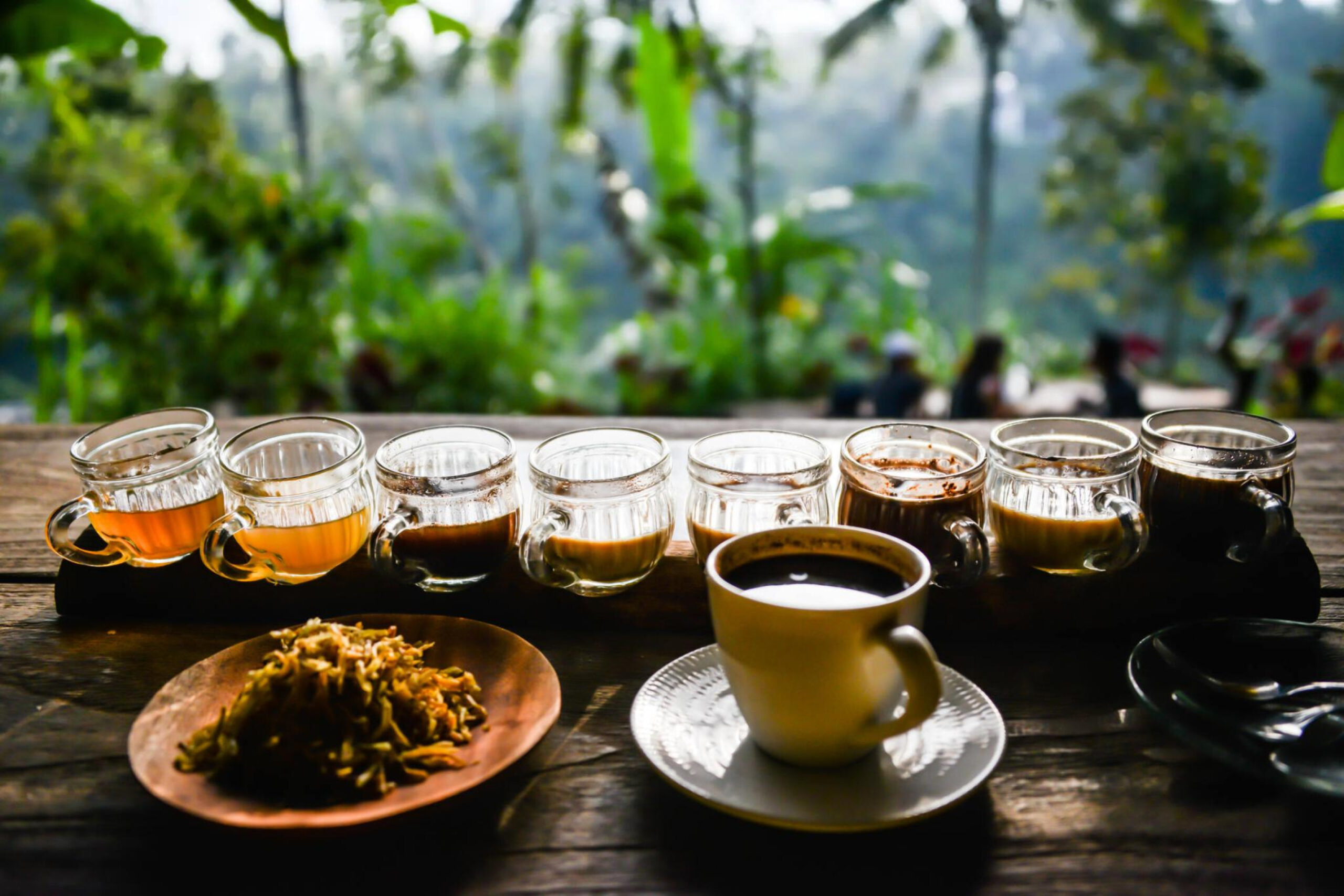coffee plantation