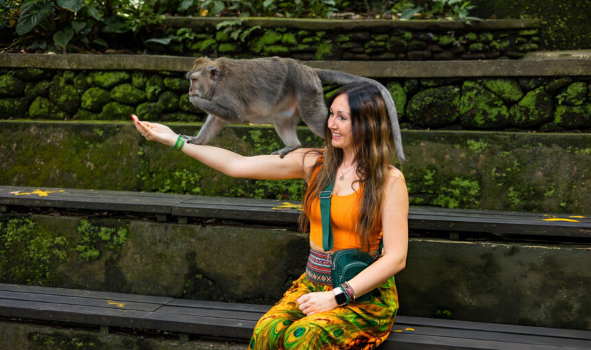 Ubud Tour: Monkey Forest, Ubud Royal Palace, Waterfall, Tegallalang Rice Terrace Private Tour